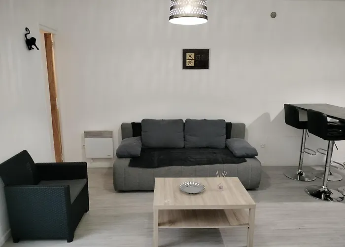 Appartement Cosy Avec Patio En Rdc